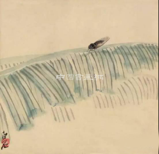 齐白石八十多岁画的蝉